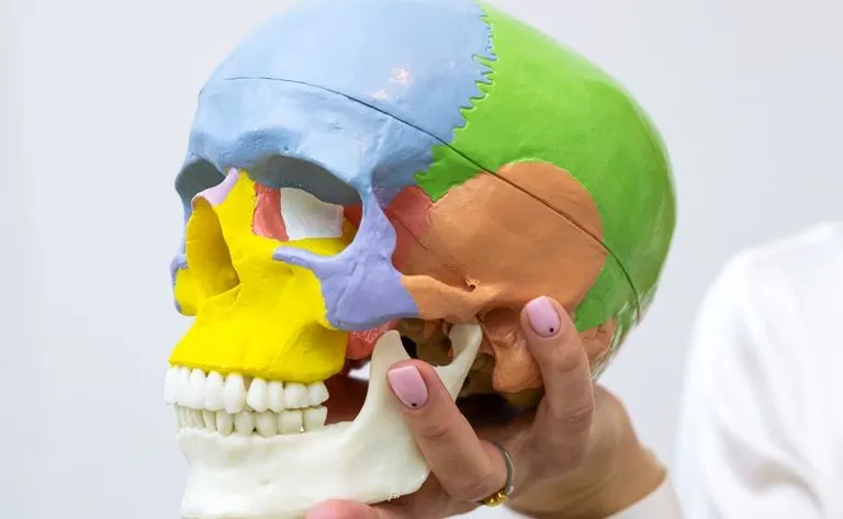 "Jaw training" niszczy stawy! Uwaga na trend z TikToka, ostrzegają eksperci