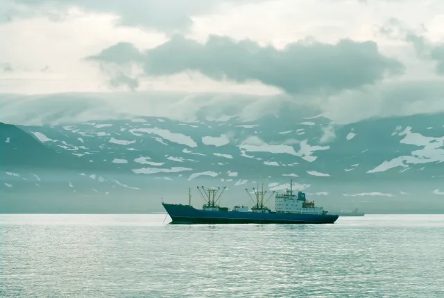 Spór o Wyspy Kurylskie. Rosja zawiesza umowę o połowie ryb z Japonią