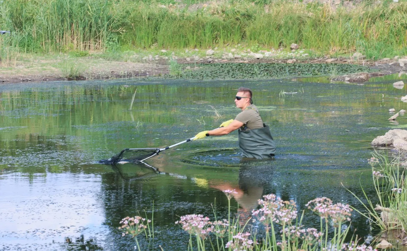 Hydrobiolog: Zaburzenie funkcjonowania ekosystemu Odry potrwa dziesięciolecia