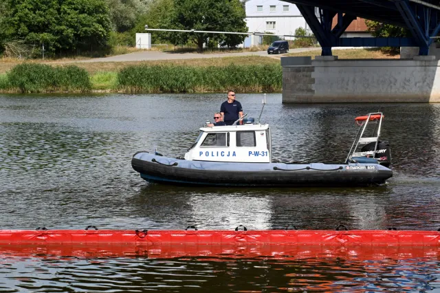 Za katastrofę na Odrze odpowiedzialny "niezidentyfikowany dotąd toksyczny gatunek"?