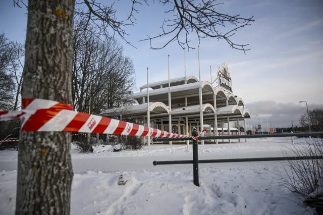 Ucieczka szympansów z zoo w Szwecji. Obława zakończona, oto jej skutki...