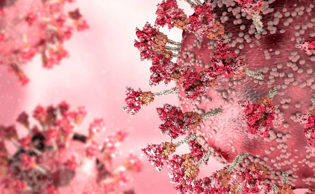 Eksperci: Wirus SARS-CoV-2 może nas jeszcze zaskoczyć. Nadal jest niebezpieczny