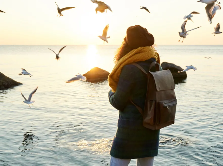 Obserwacja ptaków ma wpływ na samopoczucie - wyniki tego badania warto znać!