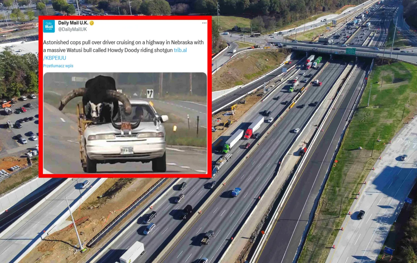 Absurd na autostradzie, policja w szoku. Tego na miejscu pasażera się nie spodziewali