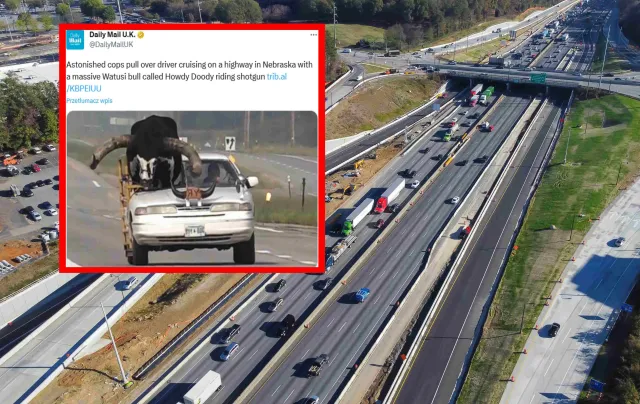 Absurd na autostradzie, policja w szoku. Tego na miejscu pasażera się nie spodziewali