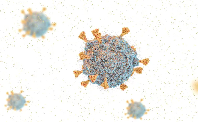 "Ilość krążącego w populacji wirusa SARS-CoV-2 jest bardzo duża"