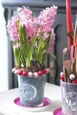 Hiacynt w świątecznych aranżacjach. Zobacz proste dekoracje, które robią wrażenie