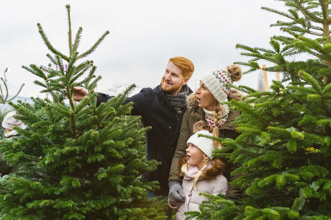 Jak przewozić choinkę, żeby nie dostać mandatu? Policjanci podpowiadają