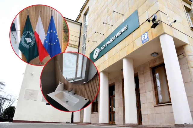 Ukryta, luksusowa, z sofą w środku. Lasy Państwowe z łazienką za 100 tys. zł