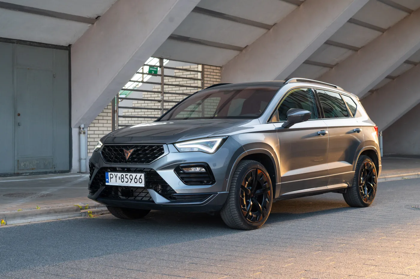 cupra-ateca-20-tsi-190-km-4drive-38191782.jpg