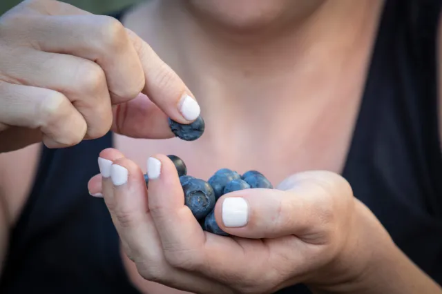Jakie są skutki uboczne zjedzenia zbyt dużej porcji borówki amerykańskiej?
