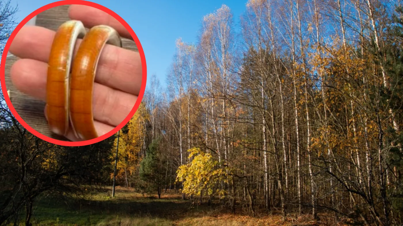 Leśnicy zadali zagadkę. Pokazali zdjęcie. Mało kto odgadł, co przedstawia