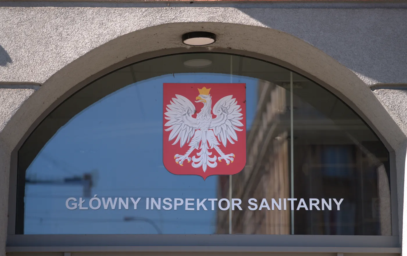 Salmonella w mrożonce z popularnego sklepu. GIS ostrzega