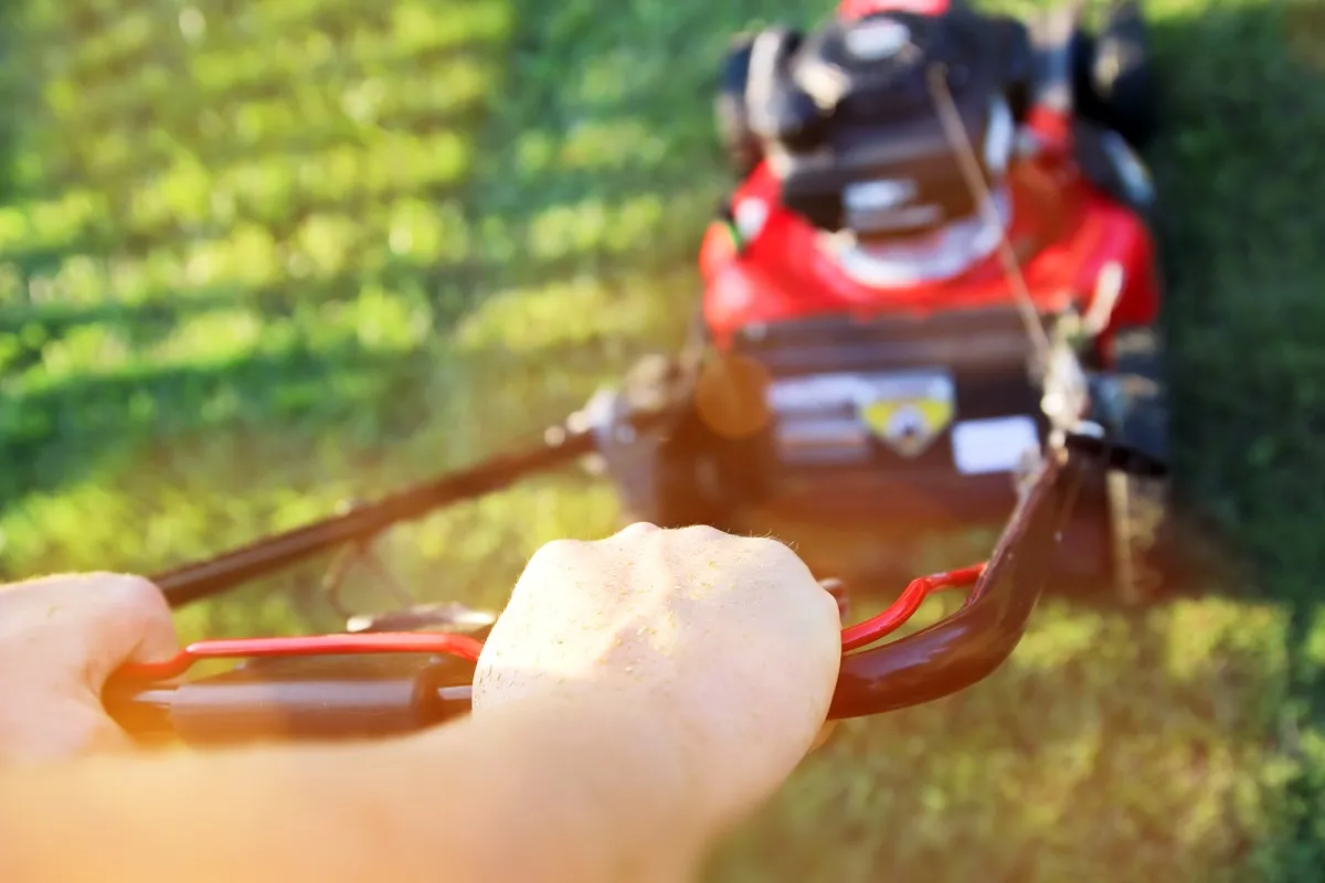 Czy można kosić trawę w niedzielę?