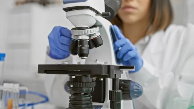 Bakteria E. coli może rozprzestrzeniać się tak szybko jak świńska grypa