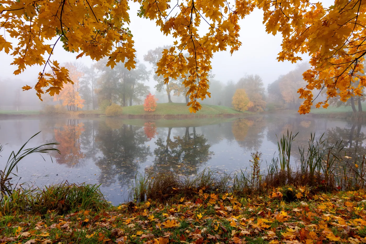Jaka będzie pogoda w niedzielę? Oto prognoza na 9 listopada 2025