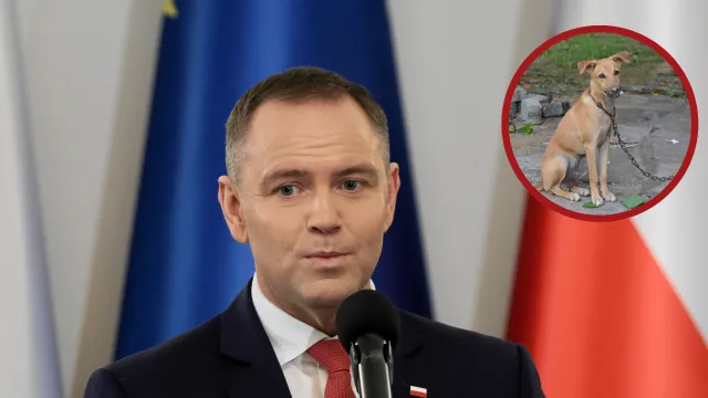 Prezydent podpisał nowelizację ustawy ws. zakazu hodowli zwierząt na futra. Jednoczesne weto ustawy łańcuchowej