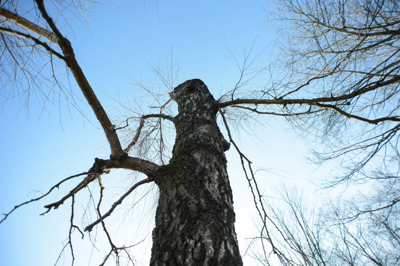 Smoleńsk miejsce katastrofy tupolewa Tu-154M