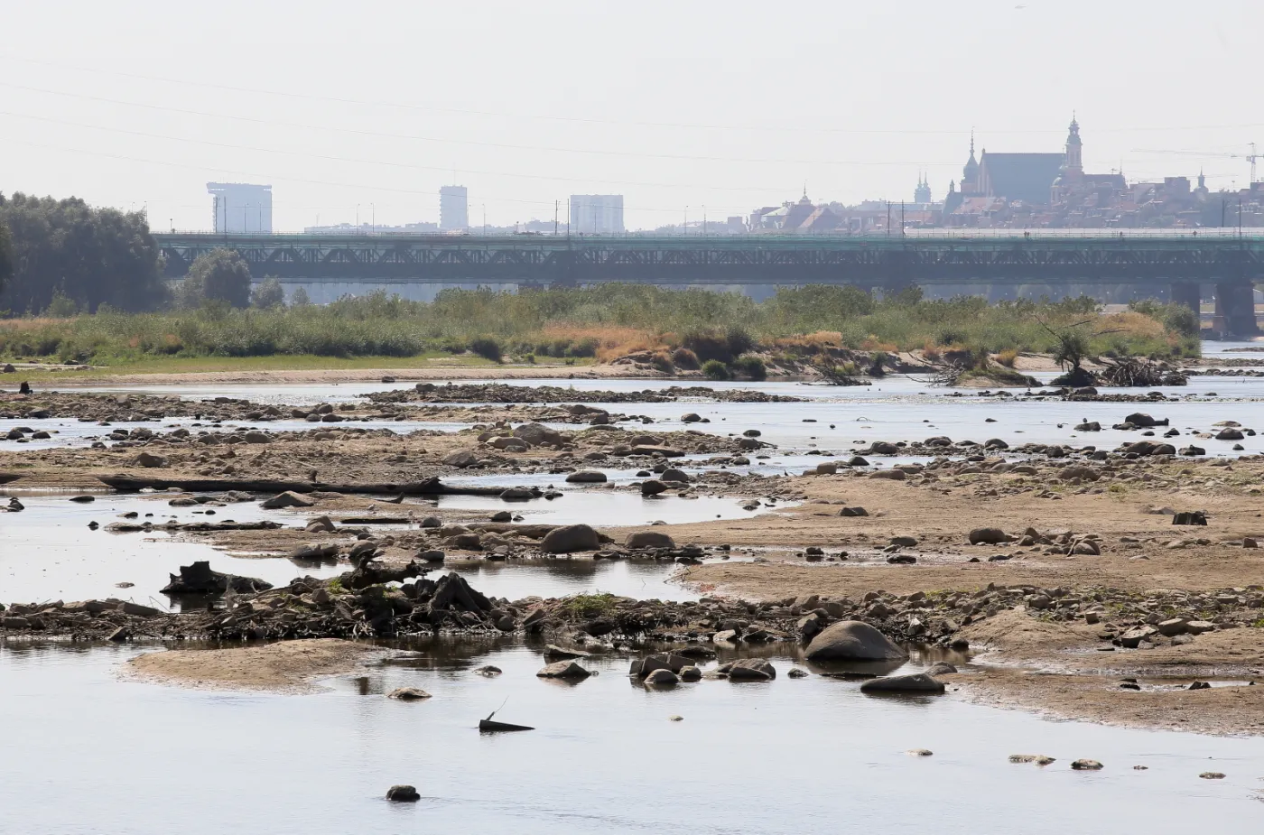 Susza dotknęła 800 tysięcy hektarów upraw. Straty to ok. 550 mln zł!