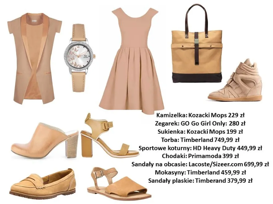 8909177-ubrania-i-dodatki-w-roznych-odcieniach.jpg