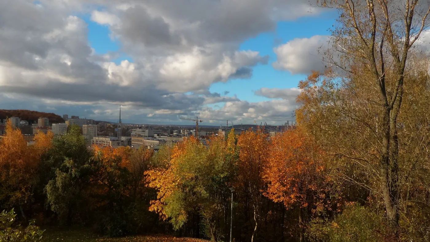 9603036-zdjecie-wykonane-aparatem-w-telefonie.jpg
