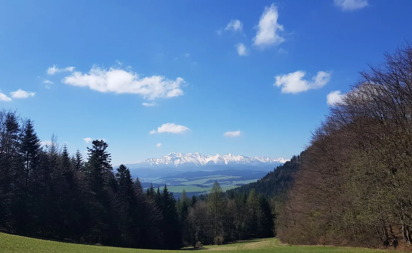 10127246-zdjecie-wykonane-aparatem-w-telefonie.jpg