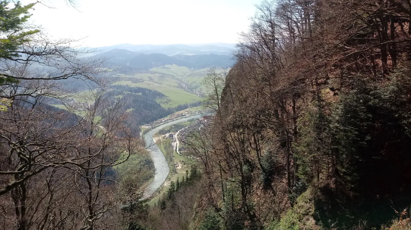 10154196-zdjecie-wykonane-aparatem-w-telefonie.jpg