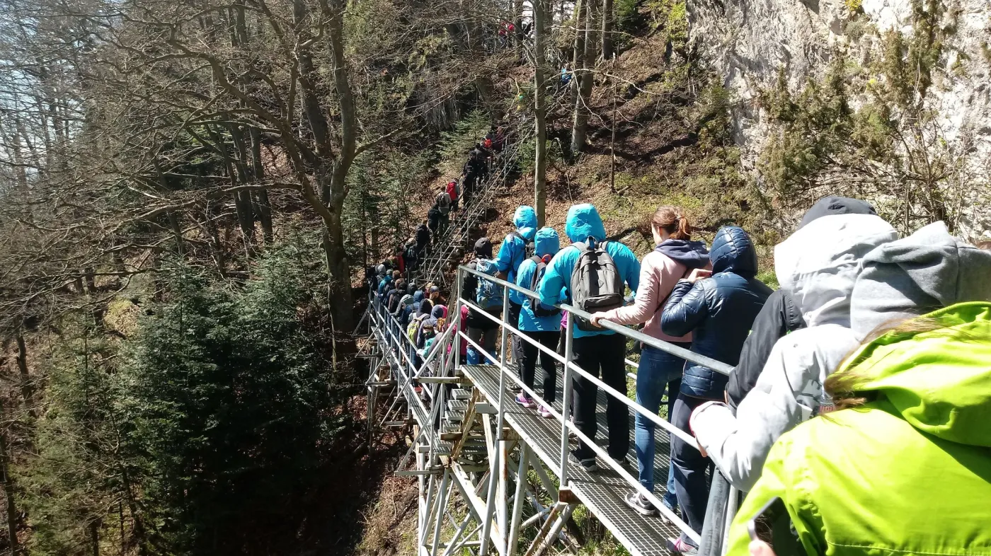 10154228-zdjecie-wykonane-aparatem-w-telefonie.jpg