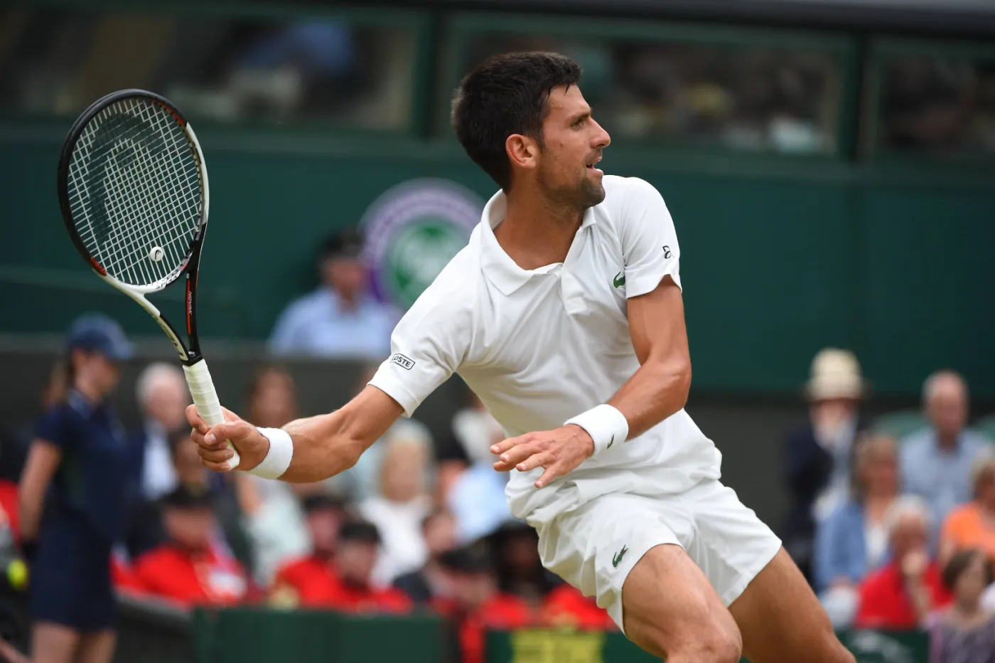 Novak Djokovic na kortach Wimbledonu w 2017 r.