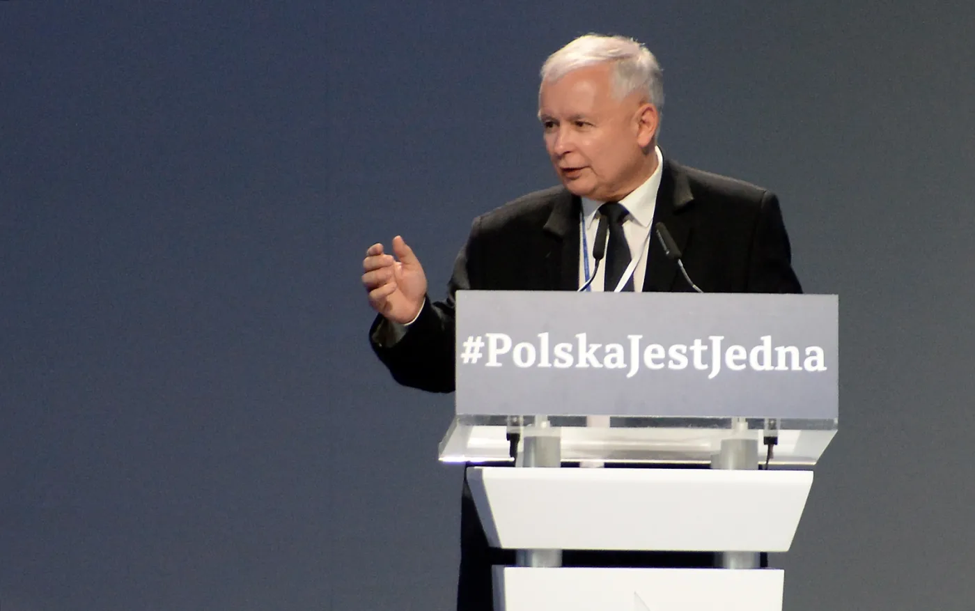Jarosław Kaczyński podczas kongresu w Przysusze