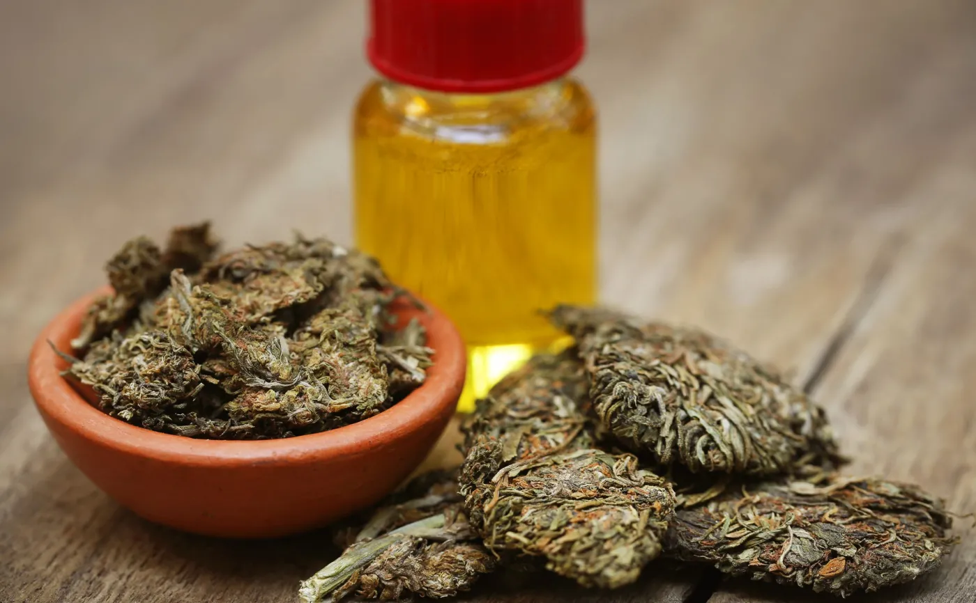 Susz konopny i olej konopny - medyczna marihuana
