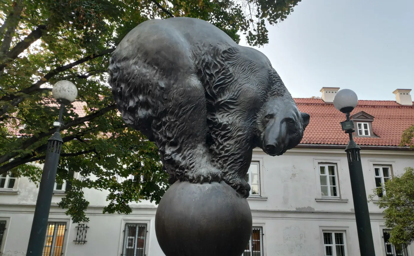 11551292-zdjecie-zrobione-smartfonem-pocophone.jpg