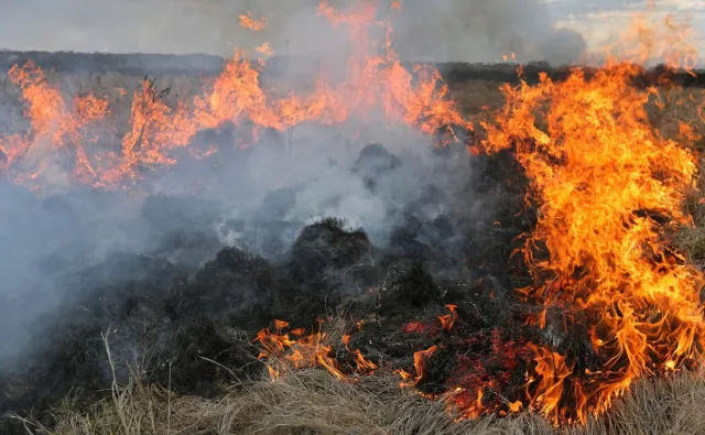 Wielki pożar w Biebrzańskim Parku Narodowym. "Walka o jeden ze światowych cudów natury"