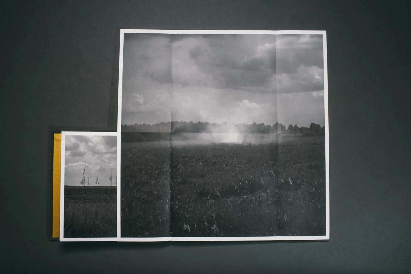 Tak powstawała książka "Echo" Maksymiliana i Magdaleny Rigamonti o rzezi wołyńskiej. WIDEO