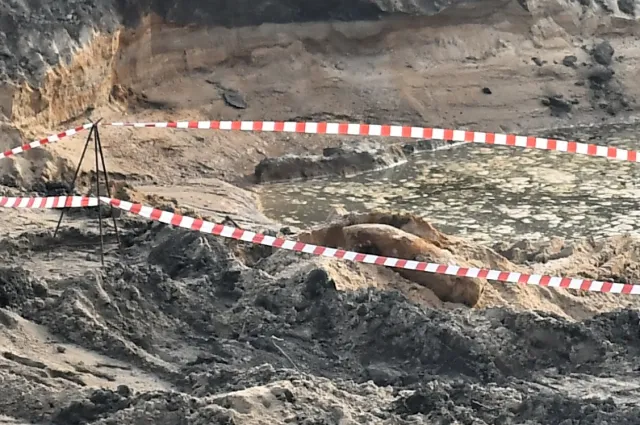 Niewypał z wrocławskiego osiedla wywieziony na poligon. Tysiące ludzi mogą wrócić do domów