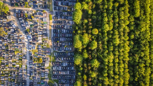 Jaka pogoda na 1 listopada? PROGNOZA IMGW