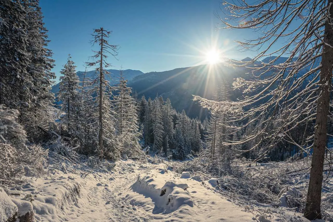 Plecak poszukiwanego Polaka znaleziony po słowackiej stronie