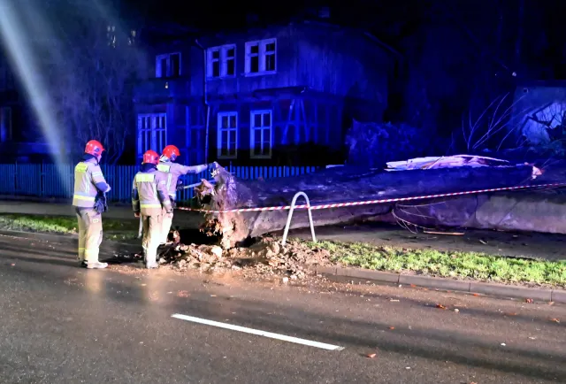 Katastrofalne skutki wichur. Jedna osoba nie żyje, tysiące osób bez prądu