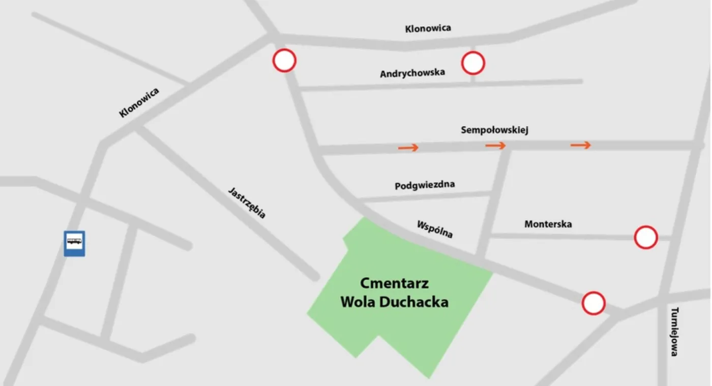 1-cmentarz-wola-duchacka-krakow-1-1-37603390.jpg