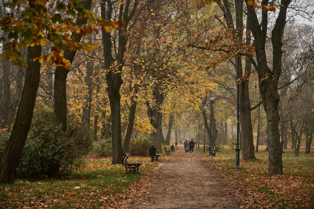 Złota jesień czy zaspy śniegu? Najnowsza prognoza pogody na listopad