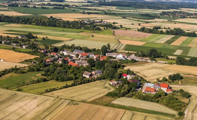 Andrysiak: PiS się wystraszył, sitwa zostaje