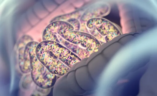 ZAWAŁ serca i UDAR mózgu przez skład mikroflory jelitowej? Ciekawa obserwacja