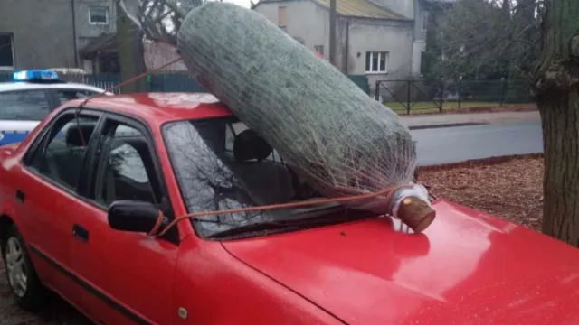 Przewoził choinkę na szybie auta. Pomysł wart prawa jazdy?