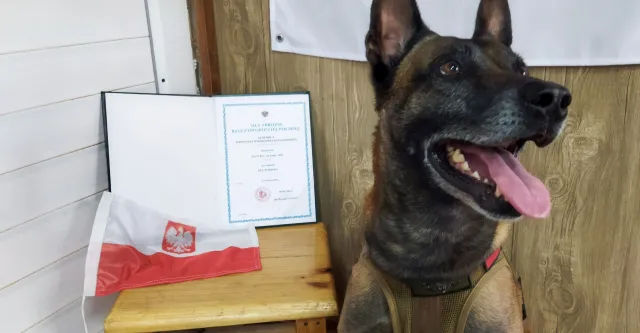 Nowy podoficer Wojska Polskiego tropi i gryzie. Eto dostał awans