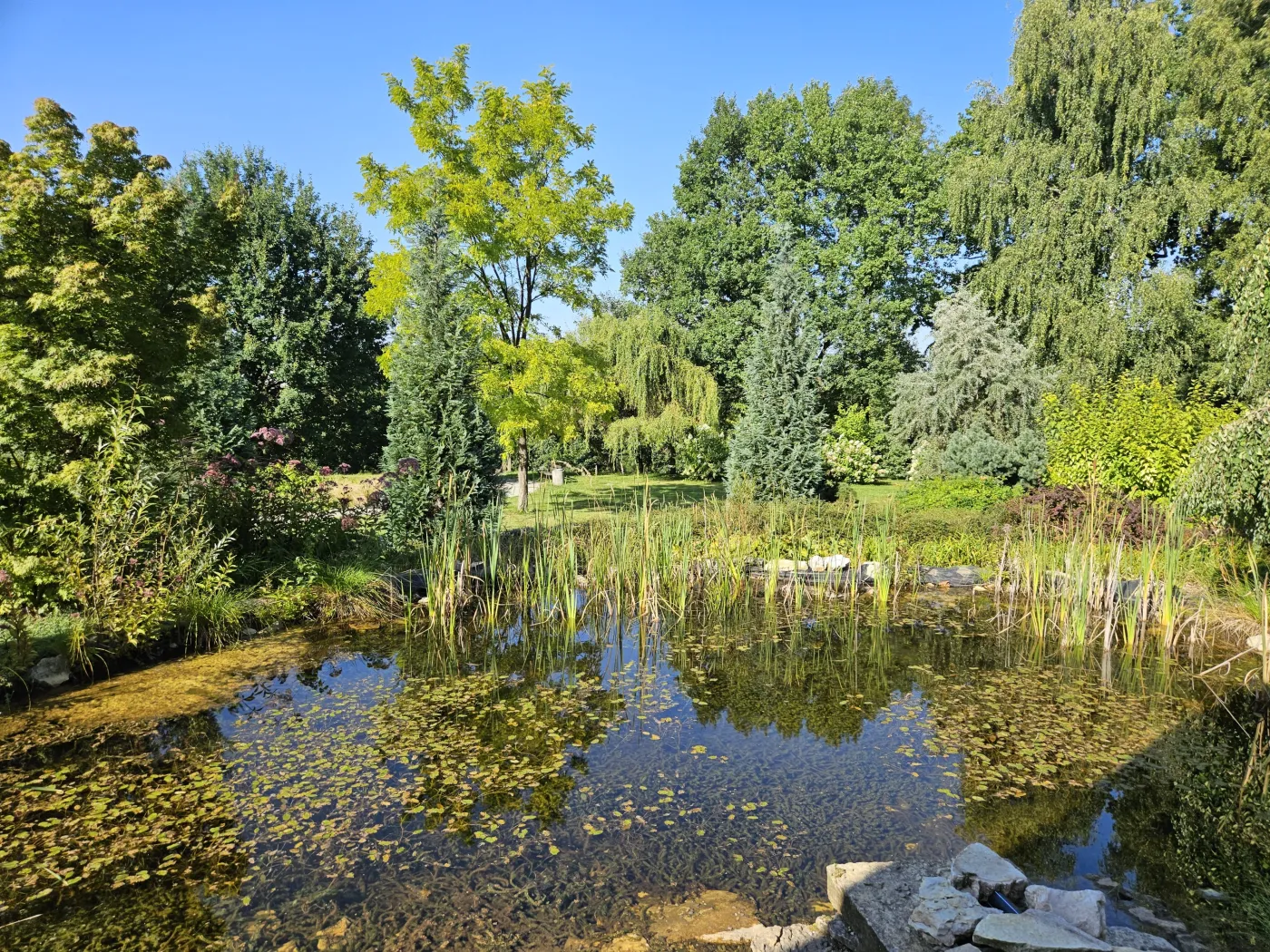 slaski-ogrod-botaniczny-w-mikolowie-38137433.jpg