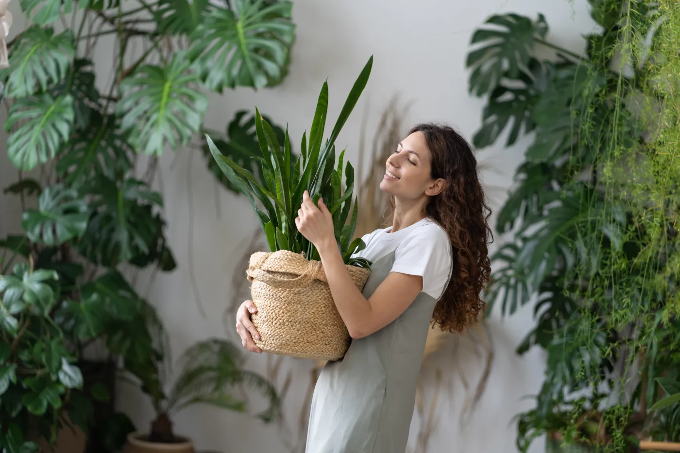 Smiling,Young,Woman,Hold,Pot,With,Sansevieria,Plant,Happy,Work