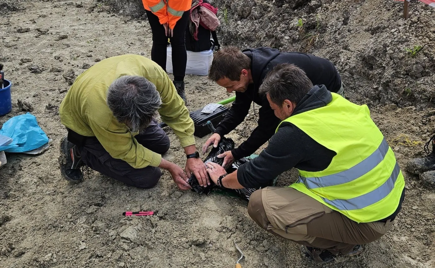 Sensacyjne odkrycie na budowie drogi S17. Ma ponad 20 000 lat