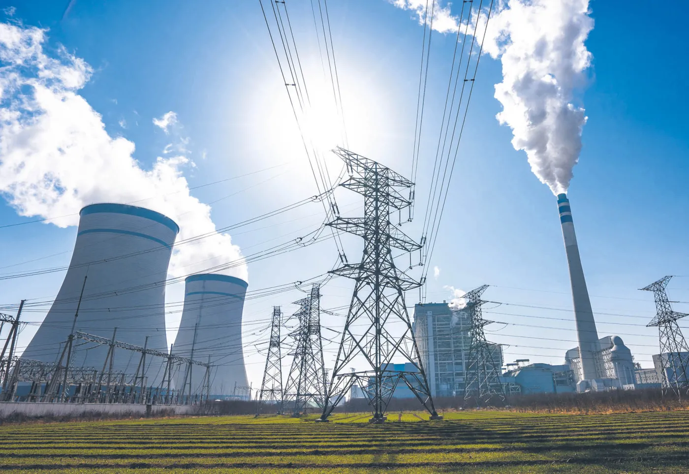 Renata Mroczek nowym prezesem URE. Premier Tusk powołał ją na 5-letnią kadencję