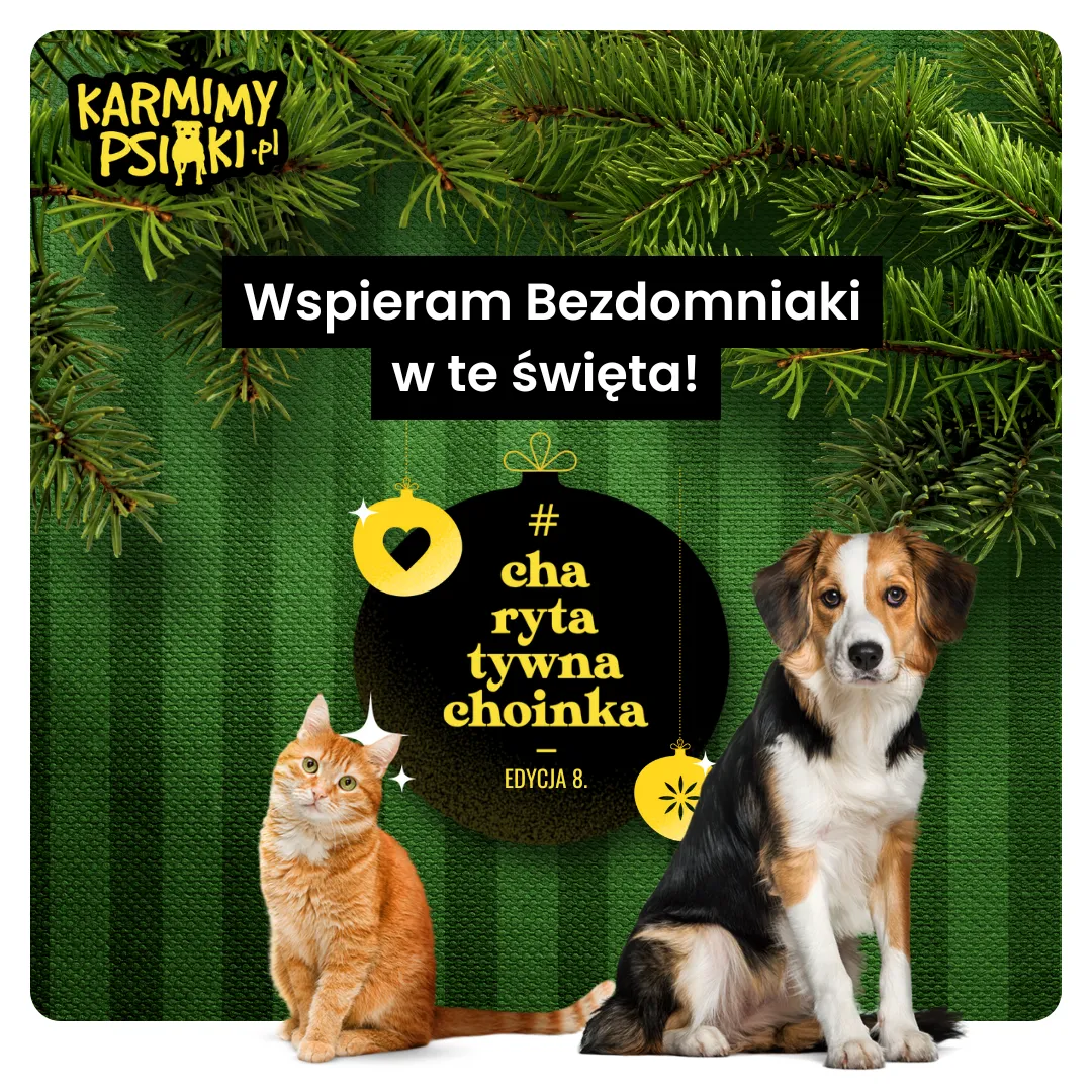 Ruszyła 8. edycja ogólnopolskiej akcji #CharytatywnaChoinka od Karmimy Psiaki