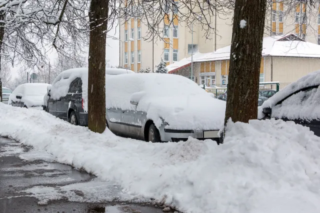 Prognoza pogody. Początek grudnia rozczaruje miłośników zimy